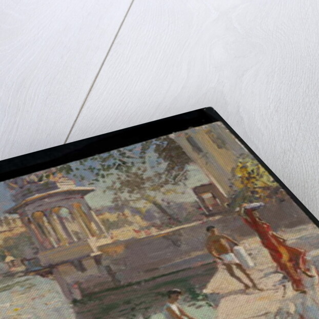 Udaipur Temple Bathing by Tim Scott Bolton