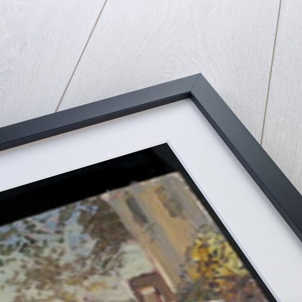 Udaipur Temple Bathing by Tim Scott Bolton