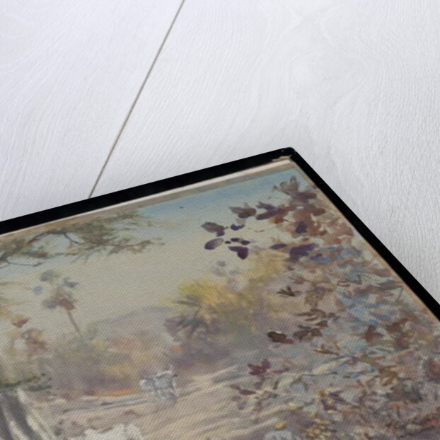 Cattle, Jambughoda, 2009 by Tim Scott Bolton