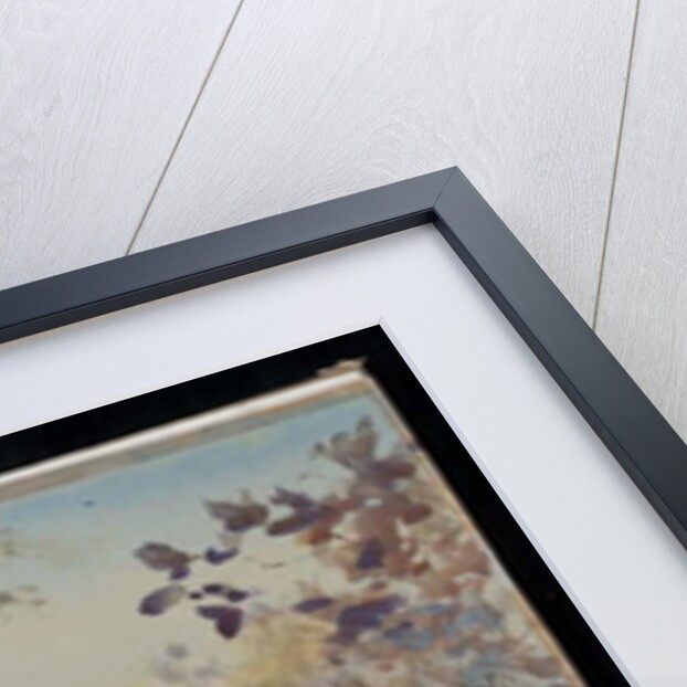 Cattle, Jambughoda, 2009 by Tim Scott Bolton