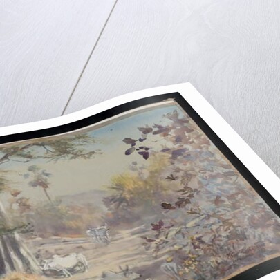 Cattle, Jambughoda, 2009 by Tim Scott Bolton