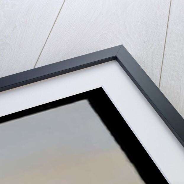 Victoria Memorial, Calcutta, 2011 by Tim Scott Bolton