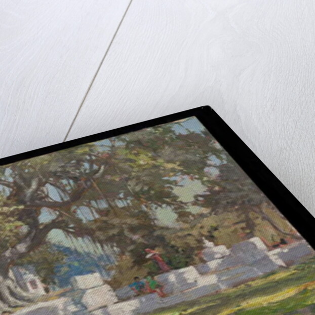 Kawardha Well and Banyan Tree by Tim Scott Bolton