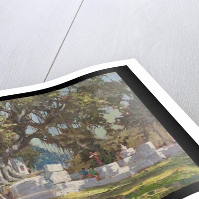 Kawardha Well and Banyan Tree by Tim Scott Bolton