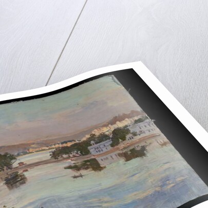 Udaipur, Lake Pichola by Tim Scott Bolton