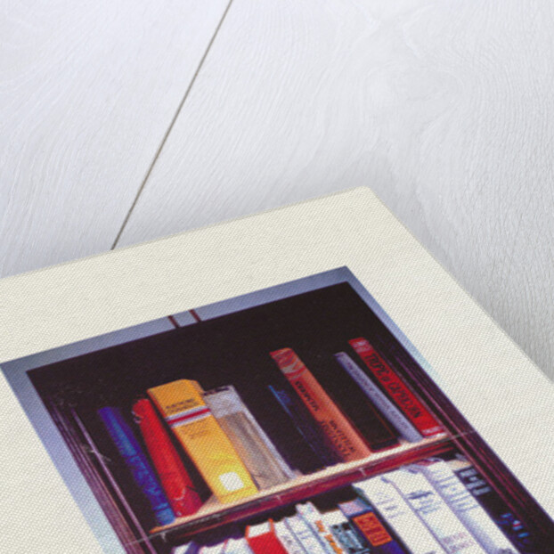 Small American Library, 1985 by Terry Scales