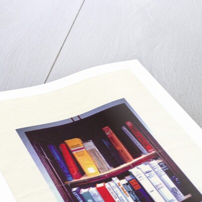 Small American Library, 1985 by Terry Scales