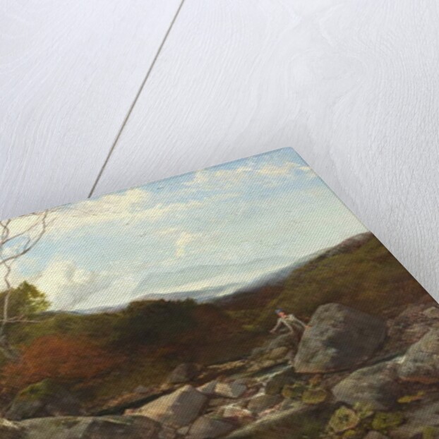 A Trout Stream by Thomas Creswick