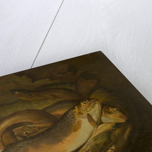 Fishes by Moses Haughton