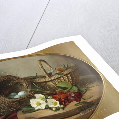 Still Life by Mrs. Alexander Farmer