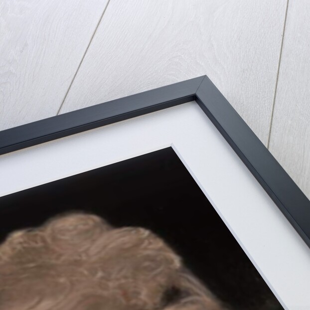 Portrait of Mrs Robinson by Joshua (after) Reynolds