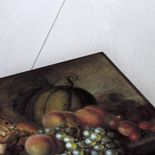 Study of Fruit with Squirrel by George Gray