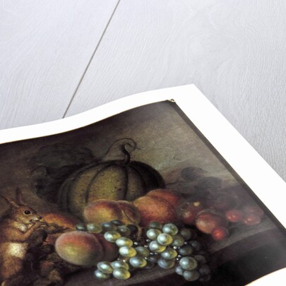 Study of Fruit with Squirrel by George Gray