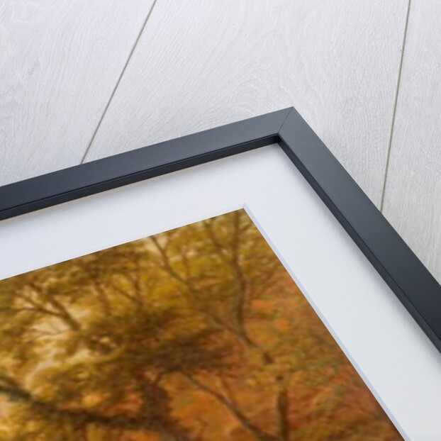 Oak Beck, Harrogate by William Mellor