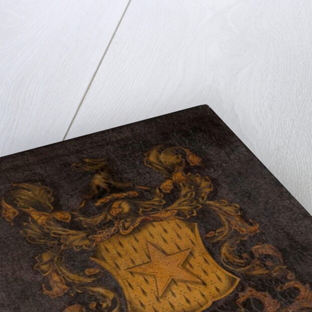 Hoyle Coat of Arms by School English