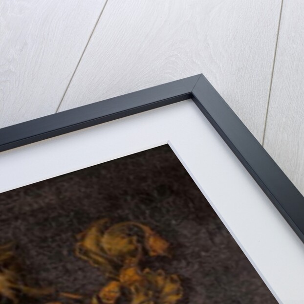 Hoyle Coat of Arms by School English