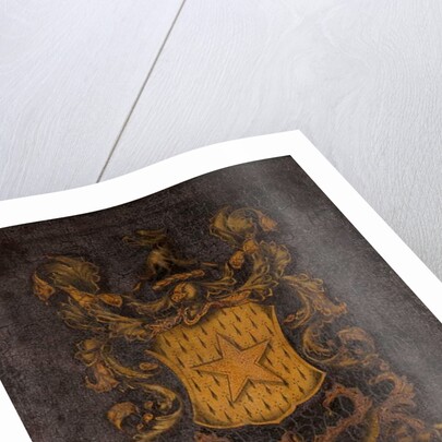 Hoyle Coat of Arms by School English