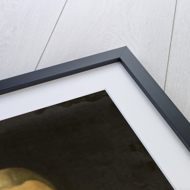 Portrait of Benjamin Gibson by English School