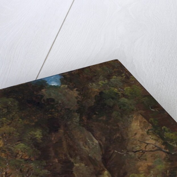 Rocks and Trees with Stream by James B. Dalziel