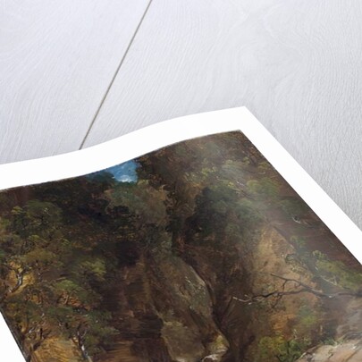 Rocks and Trees with Stream by James B. Dalziel