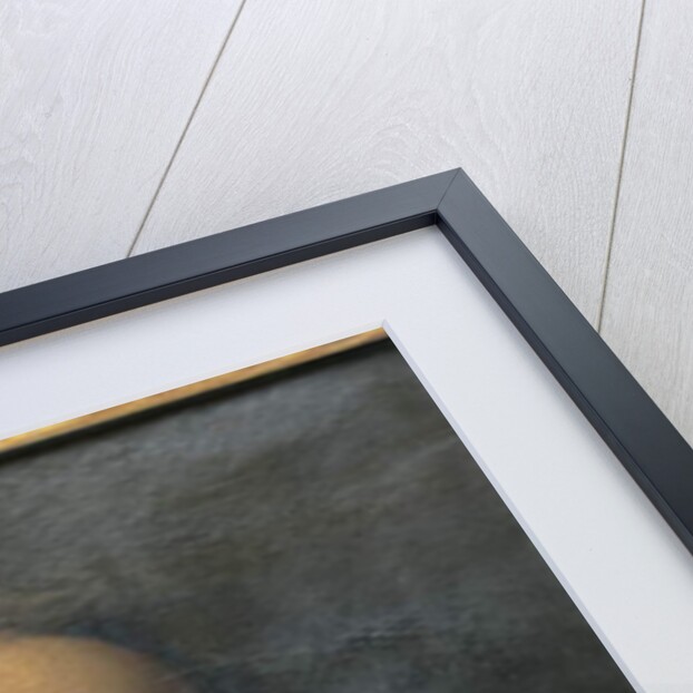 Portrait of the Artist's Father by Thomas Eyre Macklin