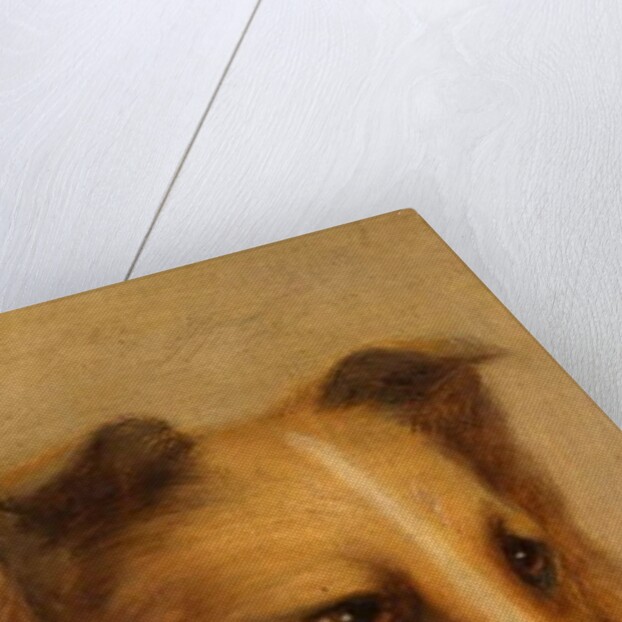 Collie by George Washington Brownlow