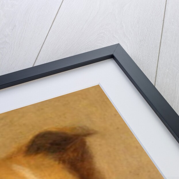 Collie by George Washington Brownlow