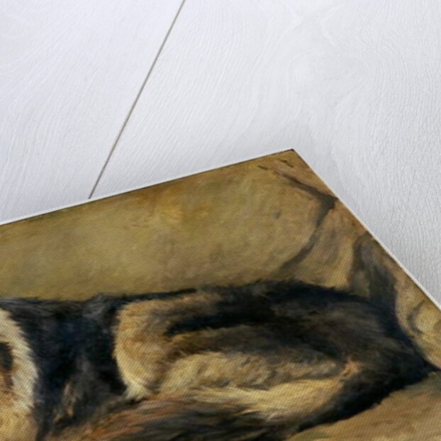 Collie Dog by William Henry Charlton