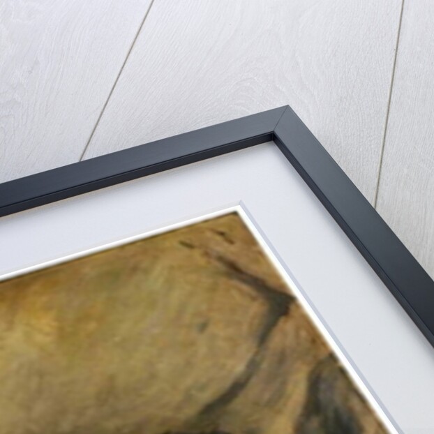 Collie Dog by William Henry Charlton