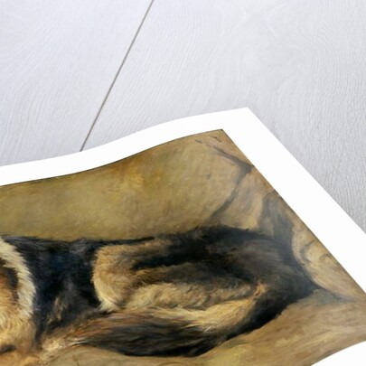 Collie Dog by William Henry Charlton