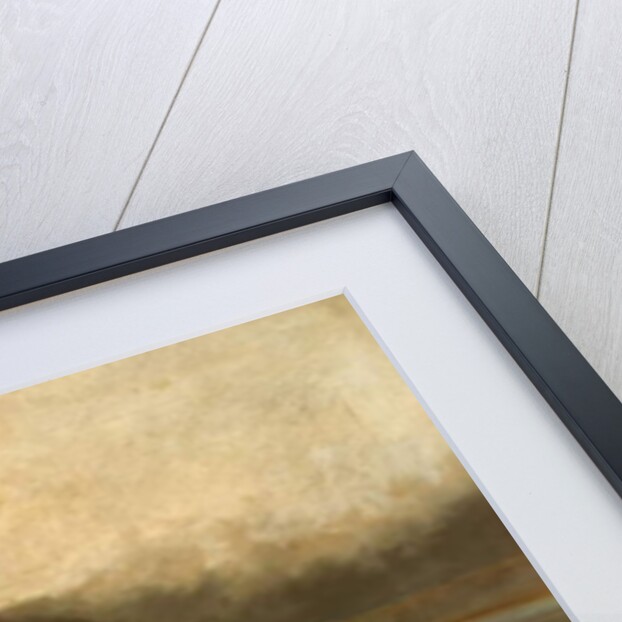 On Tarras Moss by Thomas Henry Gibb