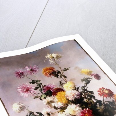 Study of Flowers by Jean Benner