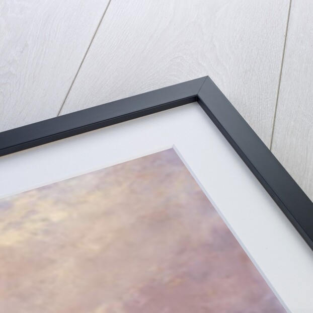 Dutch Pinks by Edwin Hayes