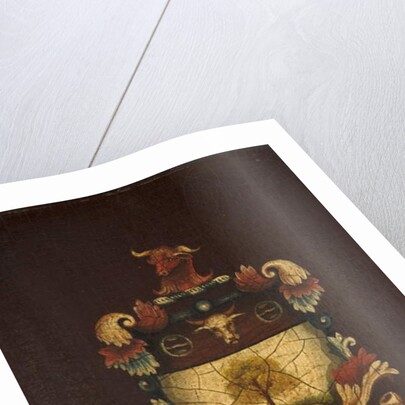 Arms of the Company of Tanners by School English