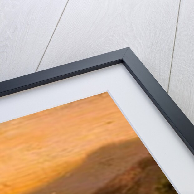 Sunset, Rocky Stream by Frank Thomas Carter