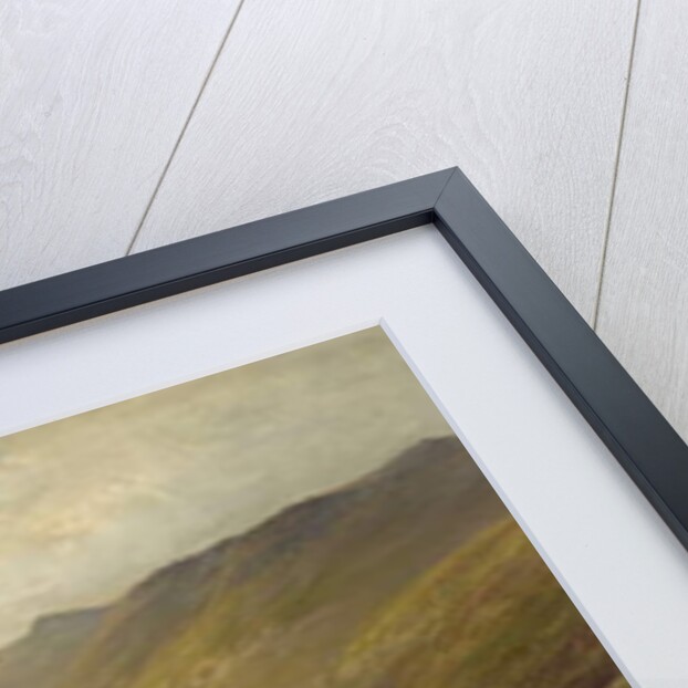 Highland Cattle by School English