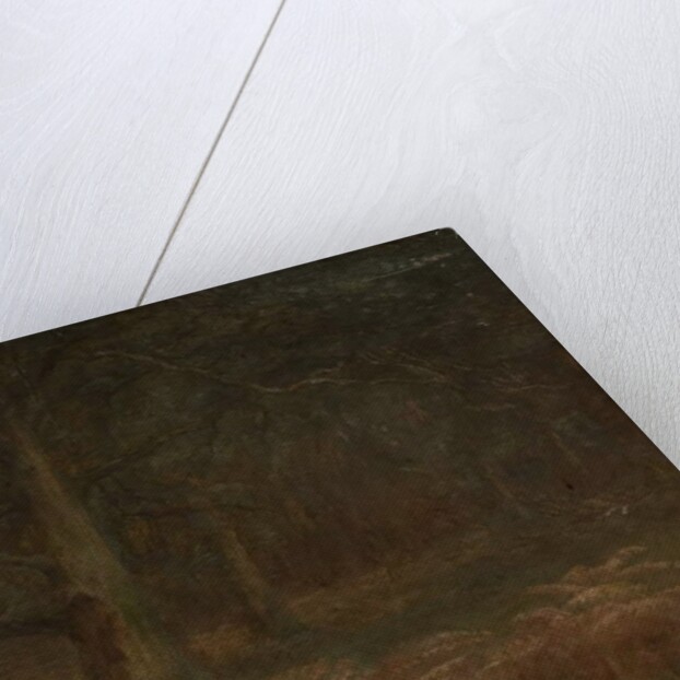 Study of Trees by School English