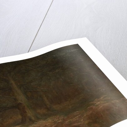 Study of Trees by School English