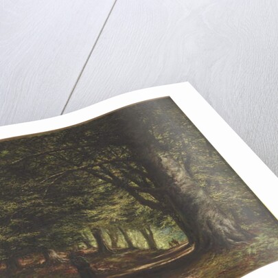 Beech Avenue, Inverary, 1876 by Edward Railton Catterns