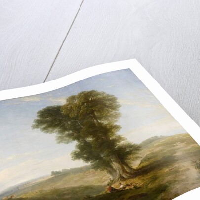 Mansfield Forest - Noon by Henry Dawson