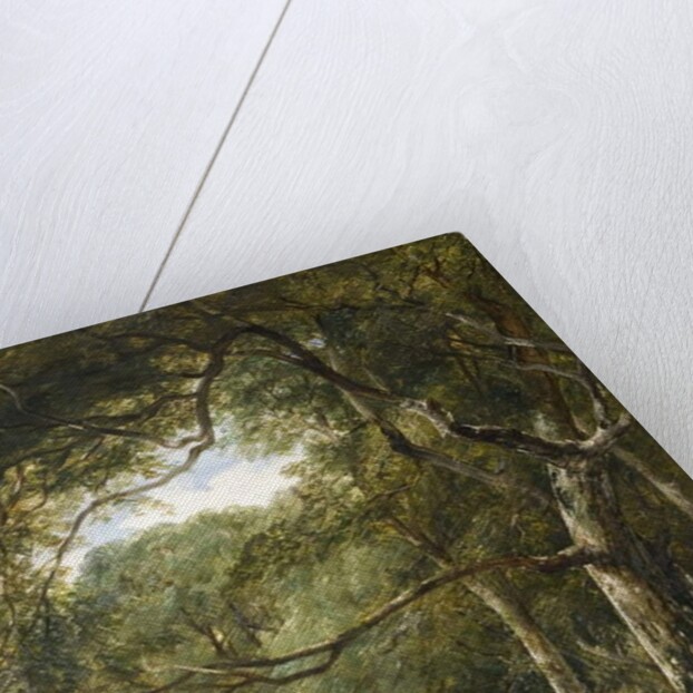 Figures in Woodland by James B. Dalziel