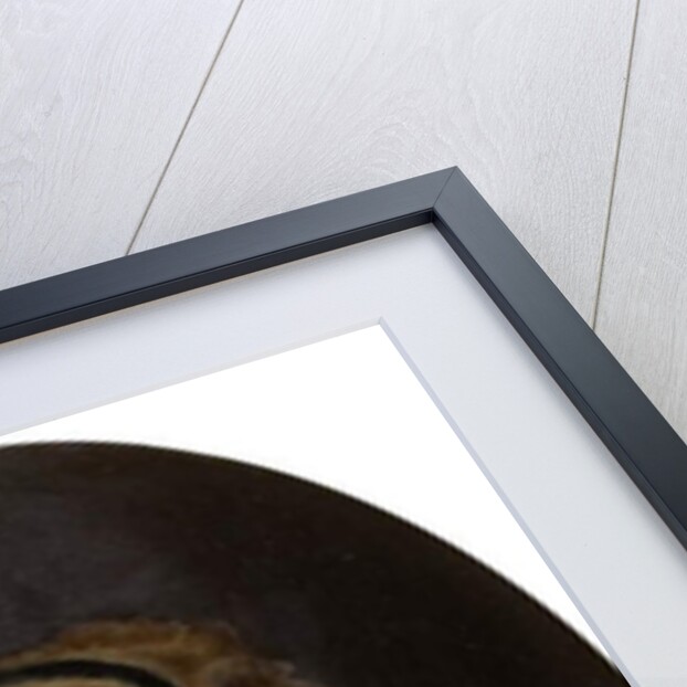 Portrait of a Young Woman by English School