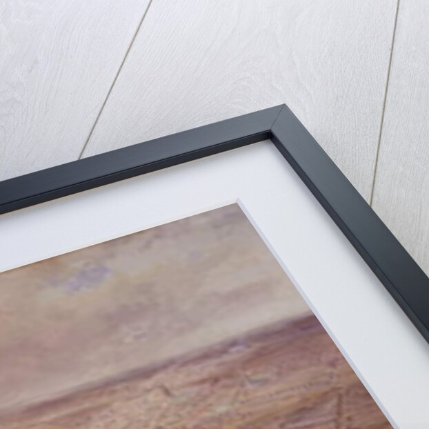 Newcastle upon Tyne in the Reign of Queen Victoria) by John Storey