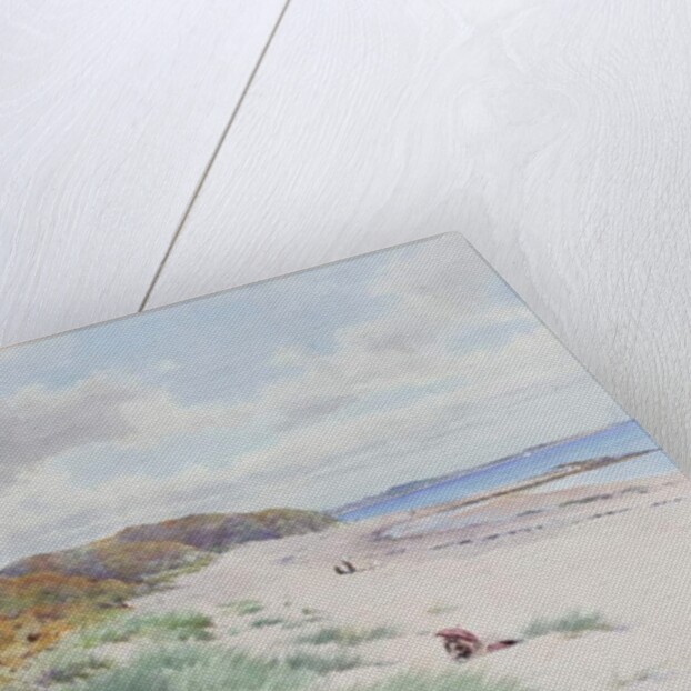 Warkworth Sands by William Cosens Way