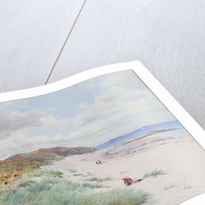 Warkworth Sands by William Cosens Way