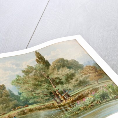 River Scene by F.G. Coleridge