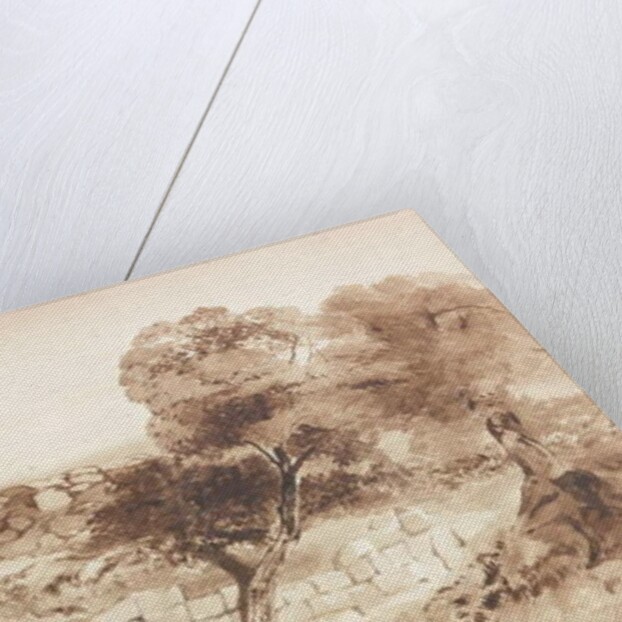 Part of the Eastern Rampart of Birdoswald by Charles Richardson