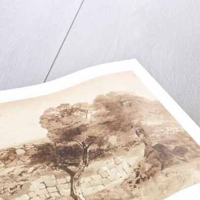 Part of the Eastern Rampart of Birdoswald by Charles Richardson