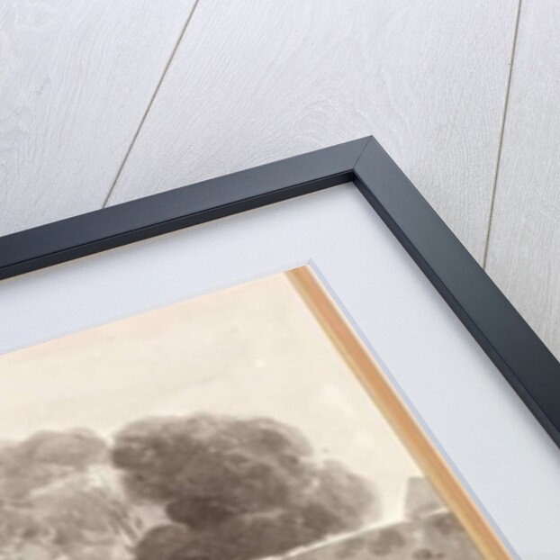 Barras Bridge by Thomas Miles Richardson