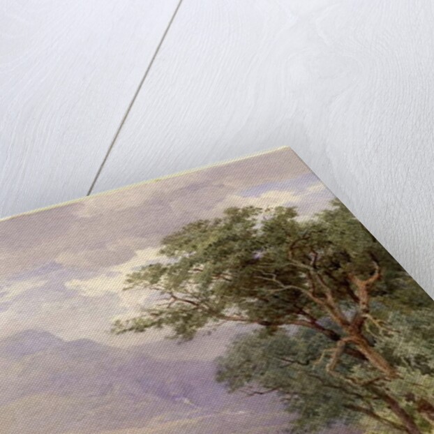 Near Tarbet, Loch Fyne, 1885 by John Henry Mole